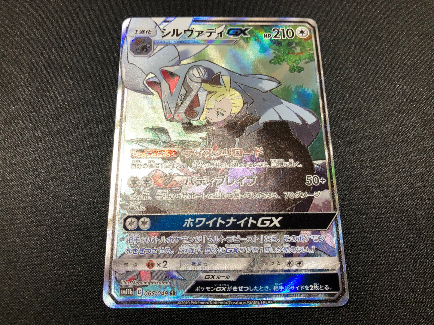シルヴァディGX (sm11b-065/049)