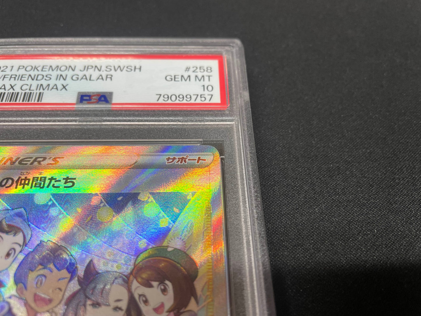 【PSA10】 ガラルの仲間たち SR (S8b-258/184)